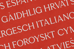 Esque Elegant Semi Serif Typeface Product Image 3