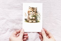 Cute Kitten Product Image 4