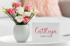 Balietta - Lovely Script Font Product Image 3