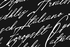 Radiant Horizon Signature Script Font Product Image 3