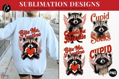 Funny Valentine Raccoon PNG - 4 Designs Product Image 1