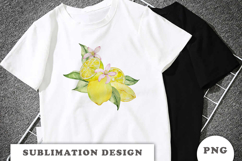 Watercolor Lemons composition png Product Image 3
