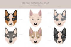 Seppala Siberian Sleddog clipart Product Image 3