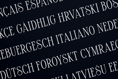 Maturation Lines Modern Classic Serif Typeface Product Image 3