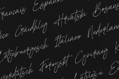 Polymath Script Elegant Handwritten Signature Product Image 3