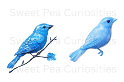 Birds, Blue, Enamel, Flowers, Ephemera, PNG, Clipart Product Image 3