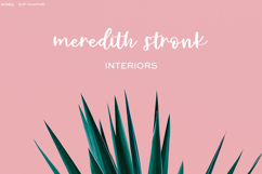 Bolabos Script Product Image 3