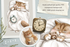 Introverted cat Product Image 3