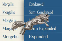 Morgelis Product Image 3