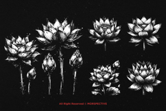 10 Bundle Dark Art Lotus Flower Meditation Relax Magical Product Image 5