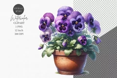 Flowers clipart, Pansies clipart, Spring clipart, Product Image 1