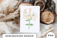Watercolor Honey Suckle Flowers Bouquet png Product Image 3
