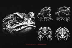 10 Bundle Dark Art Frog Skull Horror Gothic Scary Animal Product Image 5