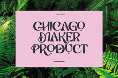 Saltstar Serif Font Product Image 3