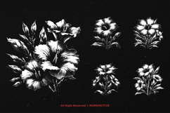 10 Bundle Dark Art Adenium Flower Botanical Floral Wild Product Image 5