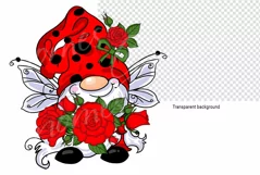 dwarf ladybug, genomes of the ladybug family png Product Image 3