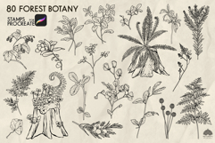 Forest Botany Procreate stamp brushes Product Image 3