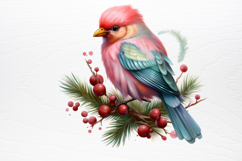 Chirstmas Birds Clipart PNG Product Image 3