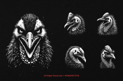10 Bundle Dark Art Cassowary Bird Exotic Animal Tropical Product Image 5