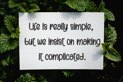 Santa Candy Product Image 3