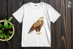Bald Eagle Clipart PNG Watercolor Product Image 3
