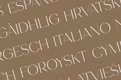 Tweedle Delicate Elegant Serif Font Product Image 3