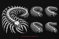 10 Bundle Dark Art Centipede Insects Gothic Skull Horror Product Image 5