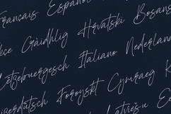 Polymath Signature Script Font Product Image 3