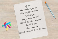 Pandaro Script Product Image 3