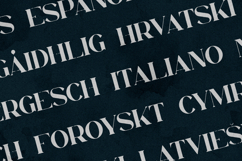 Orphic Serif Font Elegant Organic Modern Product Image 3