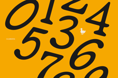 Golden Goose Italic Infused Serif Product Image 3