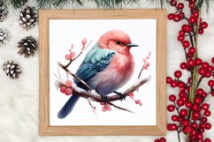 Christmas Birds Clipart , Christmas Birds Clipart Product Image 3