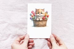 Cute Kitten Product Image 4