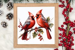 Christmas Cardinal Watercolor Clipart, Christmas Cardinal Product Image 3