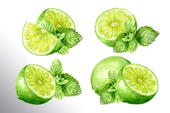 Lime citrus. Watercolor collection Product Image 4
