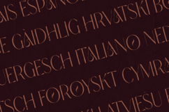 Modern Heritage Elegant Serif Font Family Product Image 3