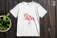 Watercolor Flamingo Bird Clipart Sublimation PNG Product Image 3