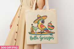 Hola Gringos PNG, Cinco De Mayo Sublimation PNG Product Image 1