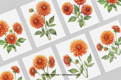 15 Bundle Watercolor Dahlia Flower Blossom Orange Floral Product Image 3
