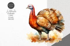Thanksgiving clipart, Turkey clipart, Autumn clipart, Product Image 1