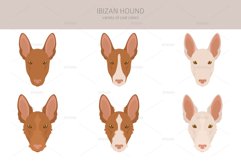 Ibizan hound clipart Product Image 5