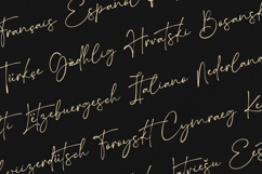 Eclipse Elegant Signature Script Font Product Image 3