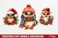 Christmas Cute Owl Animals Sublimation Product Image 1