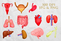 Human Internal Organs Clipart Product Image 2