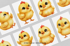 15 Bundle Watercolor Cute Chicks Yellow Chicken Easter Farm Product Image 3
