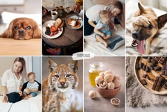 10 Velvet Mocha Mobile Lightroom Presets Product Image 3