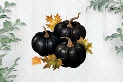 Black Pumpkins Sublimation Clipart Product Image 1
