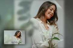 54 Blinds Reflection Overlays Product Image 3