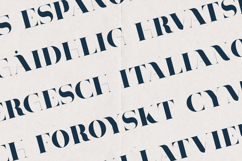 Tamira Modern Serif Elegant High Contrast Display Product Image 3