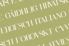 Inara Organic Serif Font Elegant Distressed Vintage Display Product Image 3